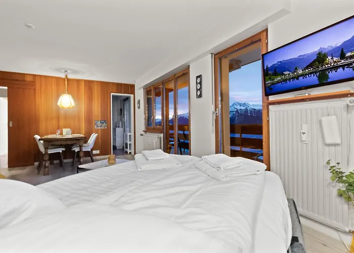 3rd View In Crans-montana, Stunning Panorama 公寓